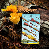 Mushroom Hunter's Tarot