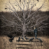 In the Company of Crows