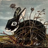 Black Bunny