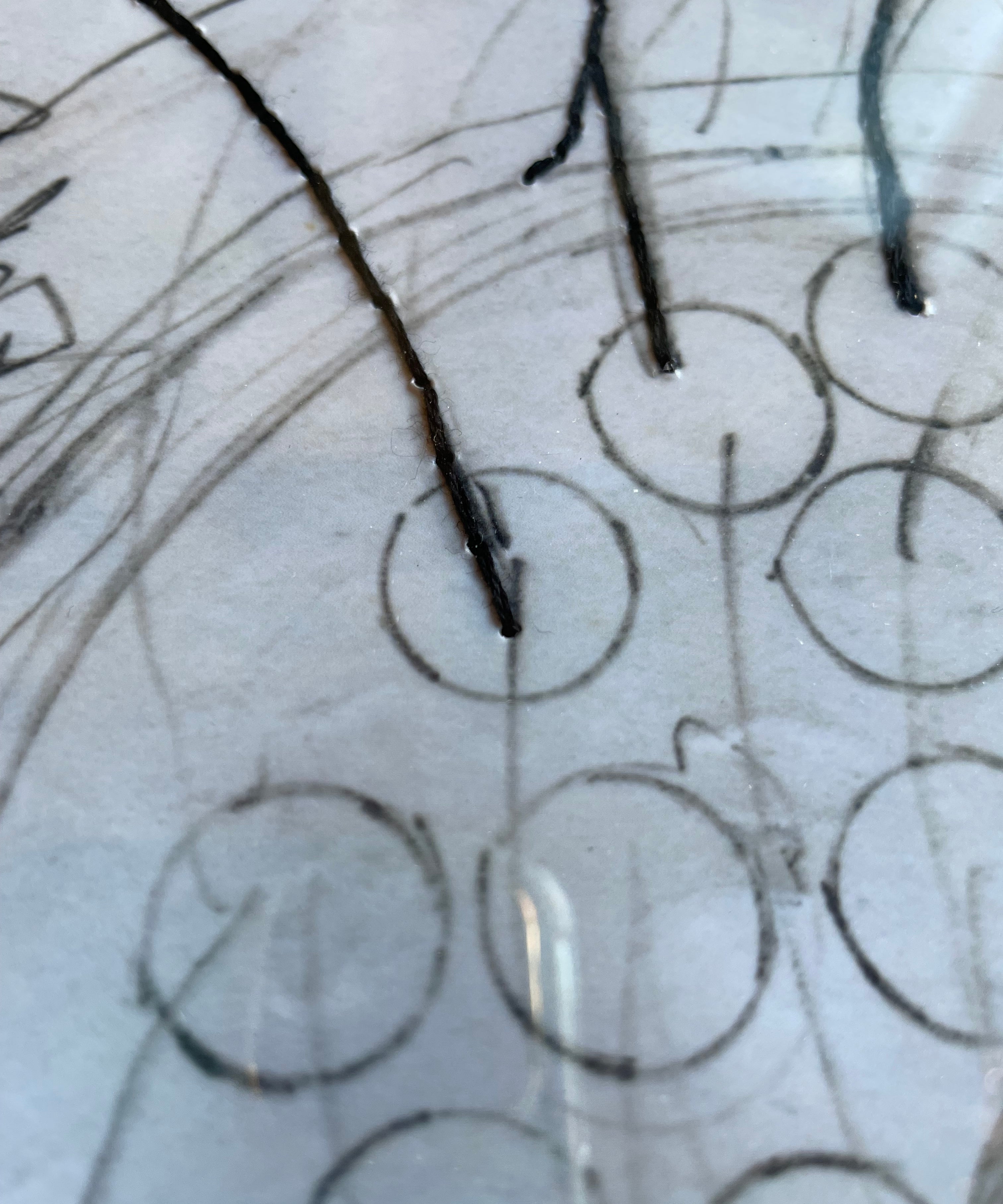 What it Looks Like When I Draw a Fern