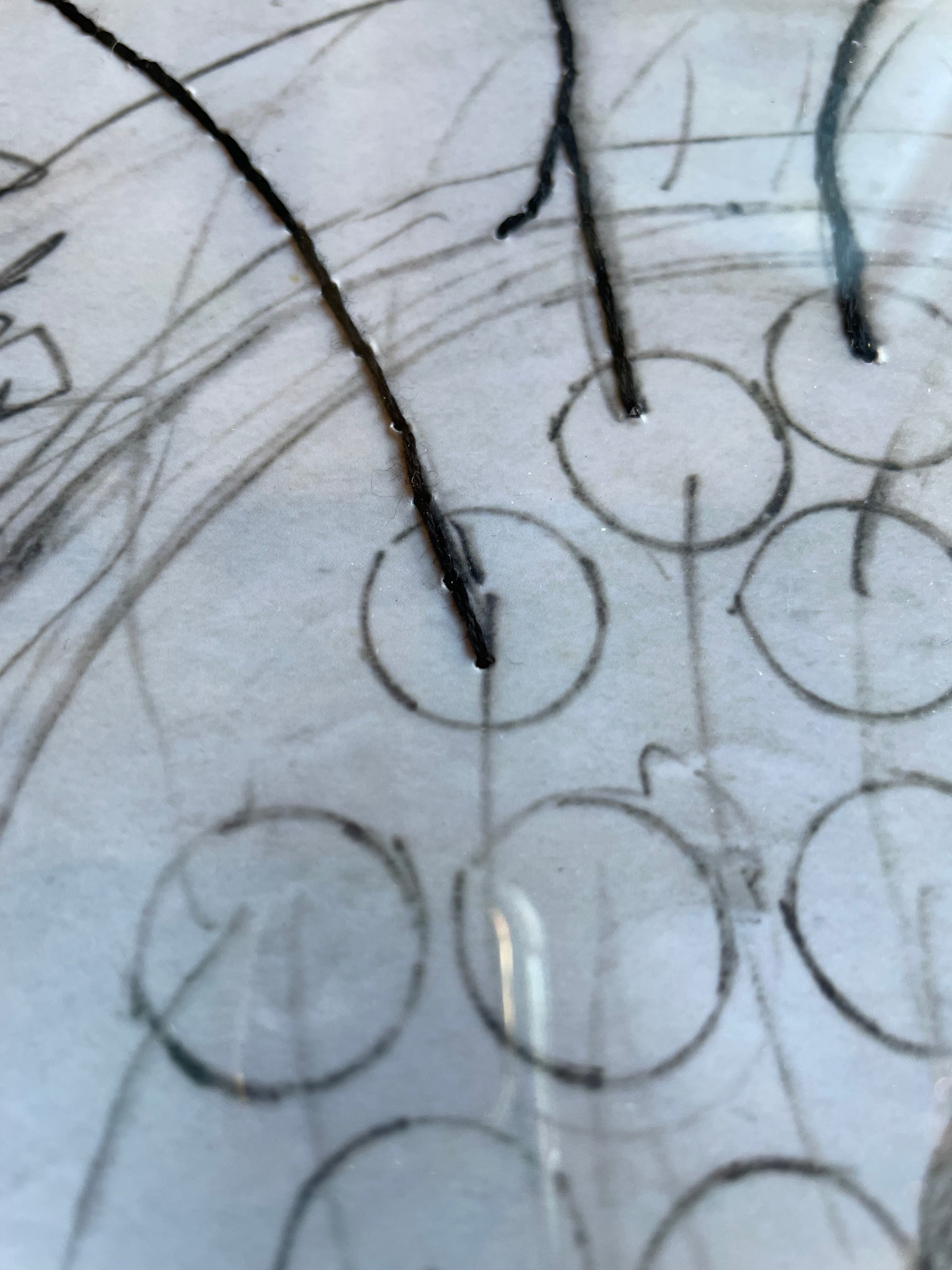 What it Looks Like When I Draw a Fern