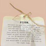 Pippa - Bunny Recycled Woolen Rescue Pet