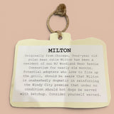 Milton the Polar Bear Recycled Woolen Rescue Pets