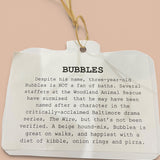 Bubbles Hound Mix Recycled  Woolen Rescue Pet