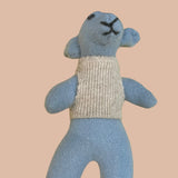 Hawk Recycled Woolen Rescue Pet