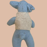 Hawk Recycled Woolen Rescue Pet
