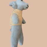 Hawk Recycled Woolen Rescue Pet