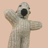 Gladys Pint Sized Chiweenie Woolen Rescue Pet