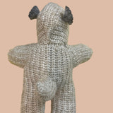 Gladys Pint Sized Chiweenie Woolen Rescue Pet