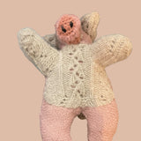 Raul Pot Bellied Pig Woolen Rescue Pet