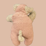 Raul Pot Bellied Pig Woolen Rescue Pet