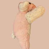Raul Pot Bellied Pig Woolen Rescue Pet