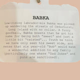 Babka Labrador -Mix Recycled Woolen Rescue Pet