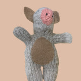 IDA Pot Belly Pig Woolen Rescue Pet