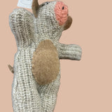 IDA Pot Belly Pig Woolen Rescue Pet