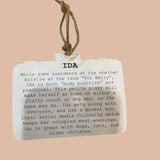 IDA Pot Belly Pig Woolen Rescue Pet