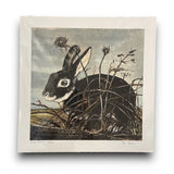 Black Bunny