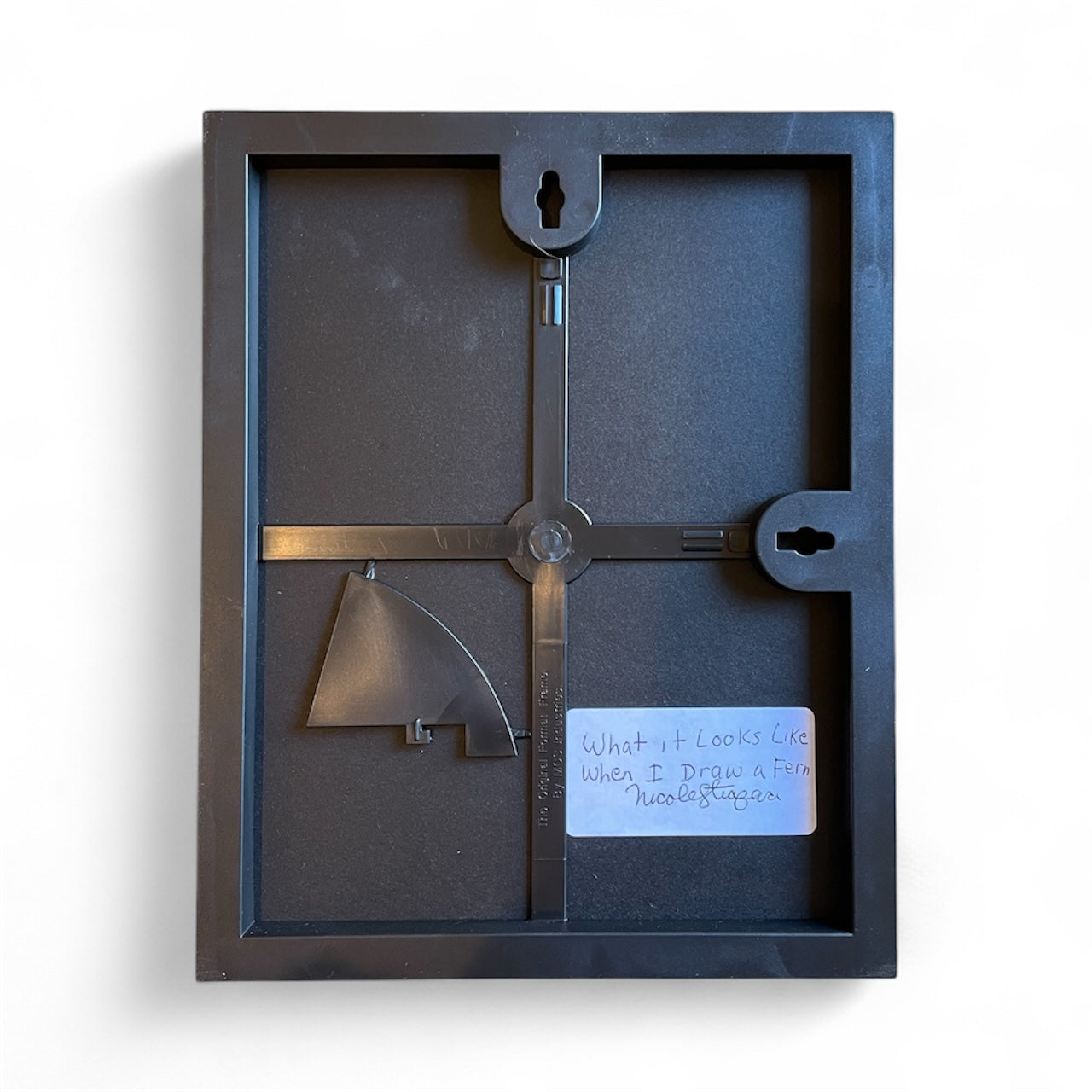 What it Looks Like When I Draw a Fern