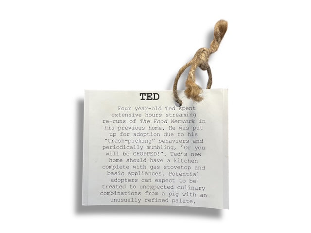 Ted