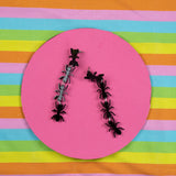 Ant Earrings