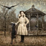 Reflections in a Golden Eye